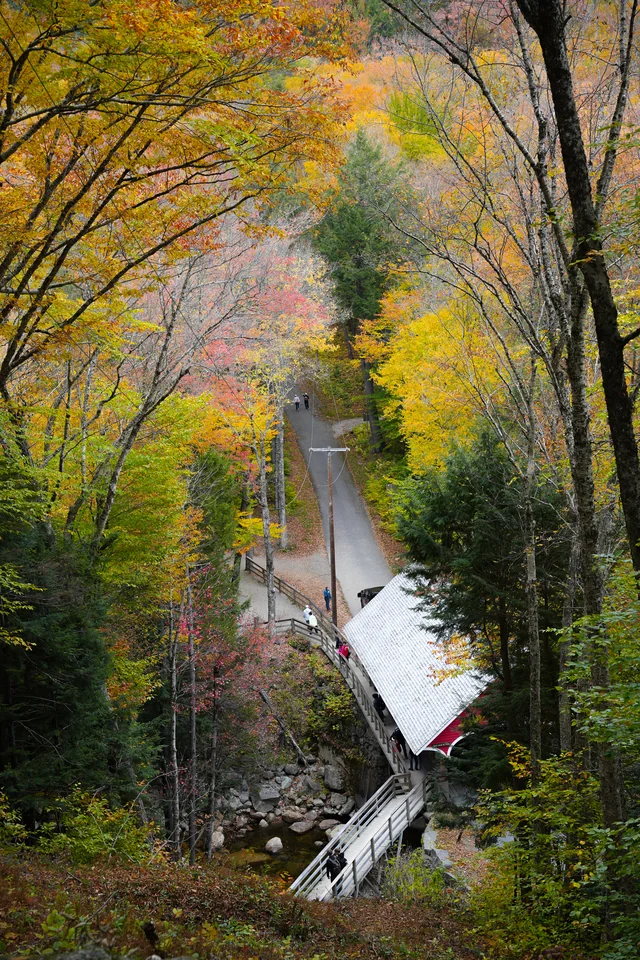 A covered bridge and road surrounded by autumn foliage, viewed from above.