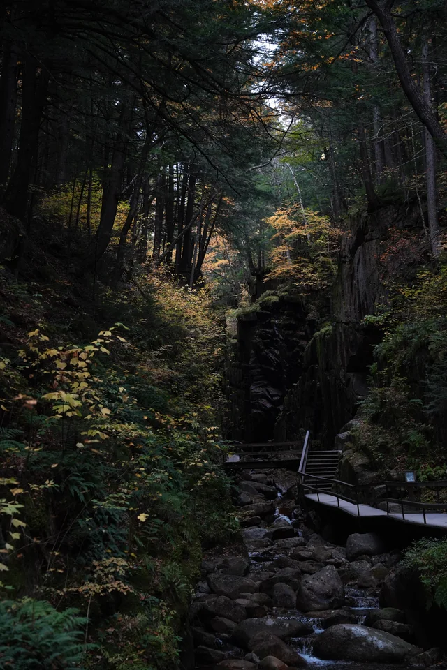A rocky woodland stream beside a wooden walkway.