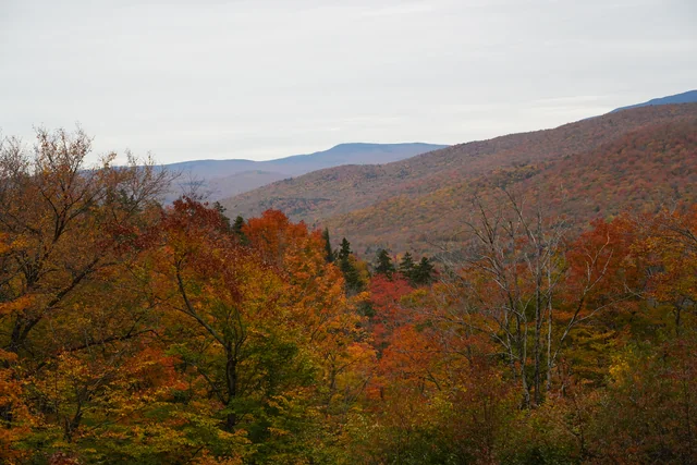 Layers of mountains and autumn forest beneath an overcast sky.